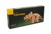 Puzzle 3D Drewniane Dinozaur Triceratops uGEARS